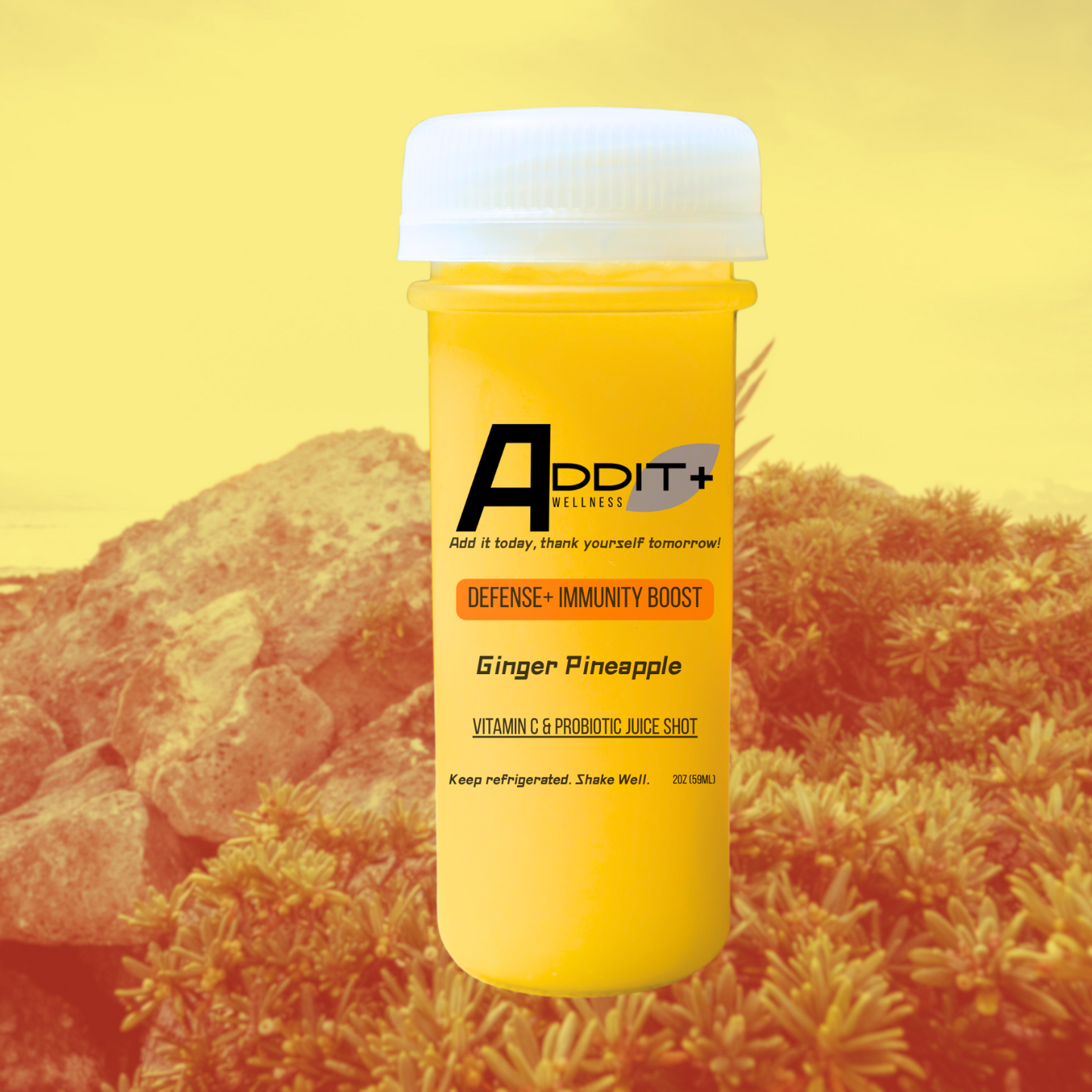 ADDIT+ Immunity Boost Pack